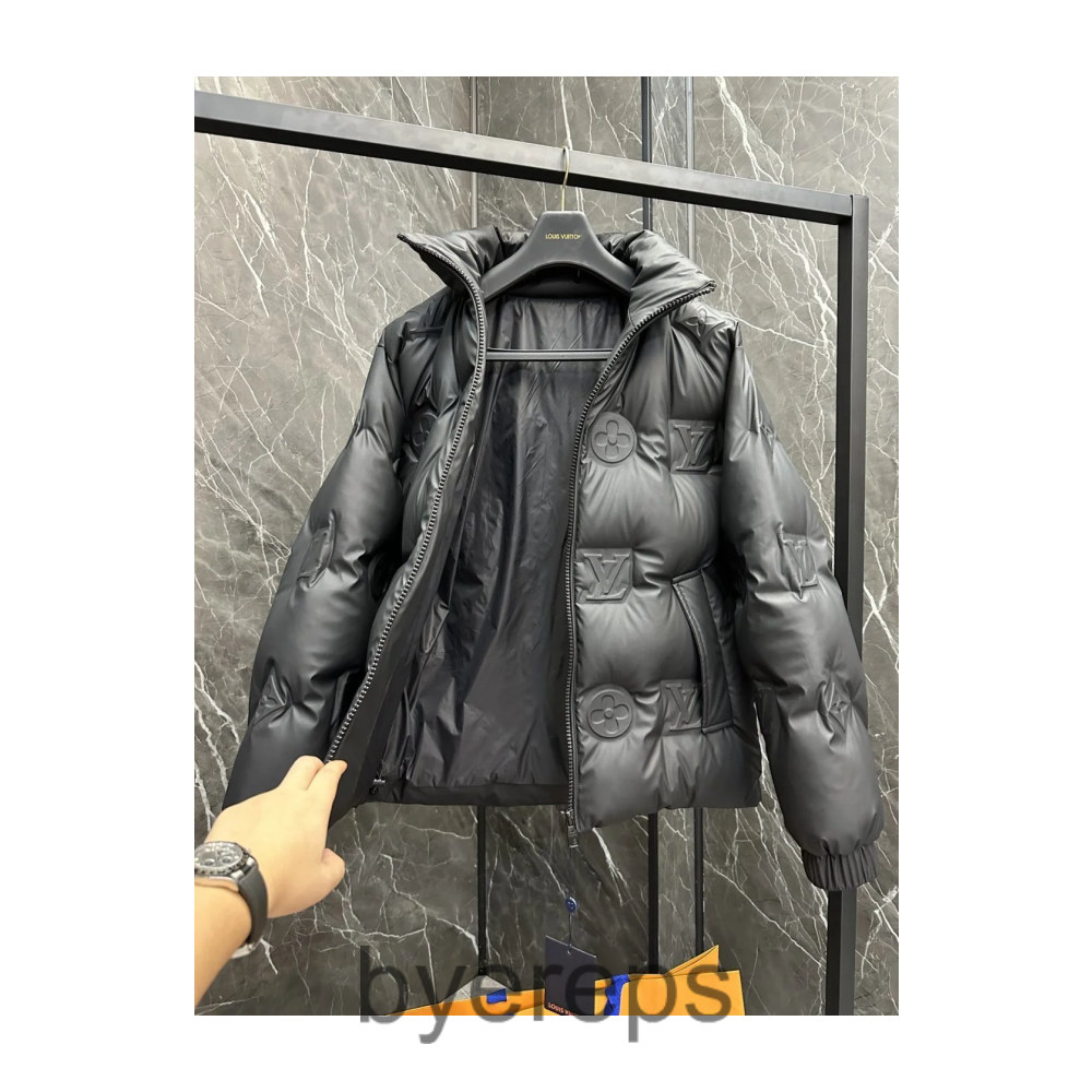 Louis Vuitton Down Jacket — photo 3 of 4