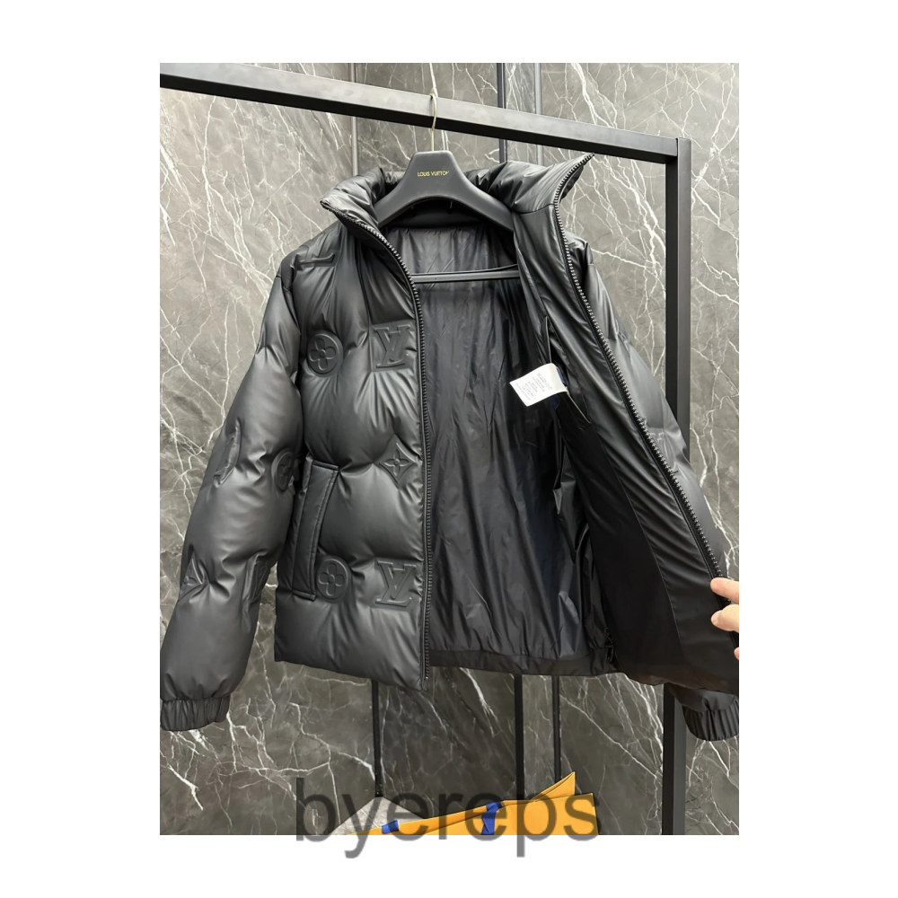 Louis Vuitton Down Jacket — photo 4 of 4