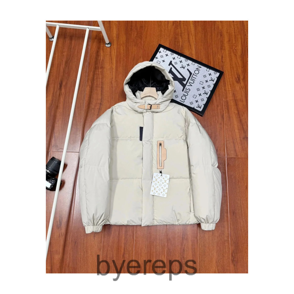 Louis Vuitton Down Jackets