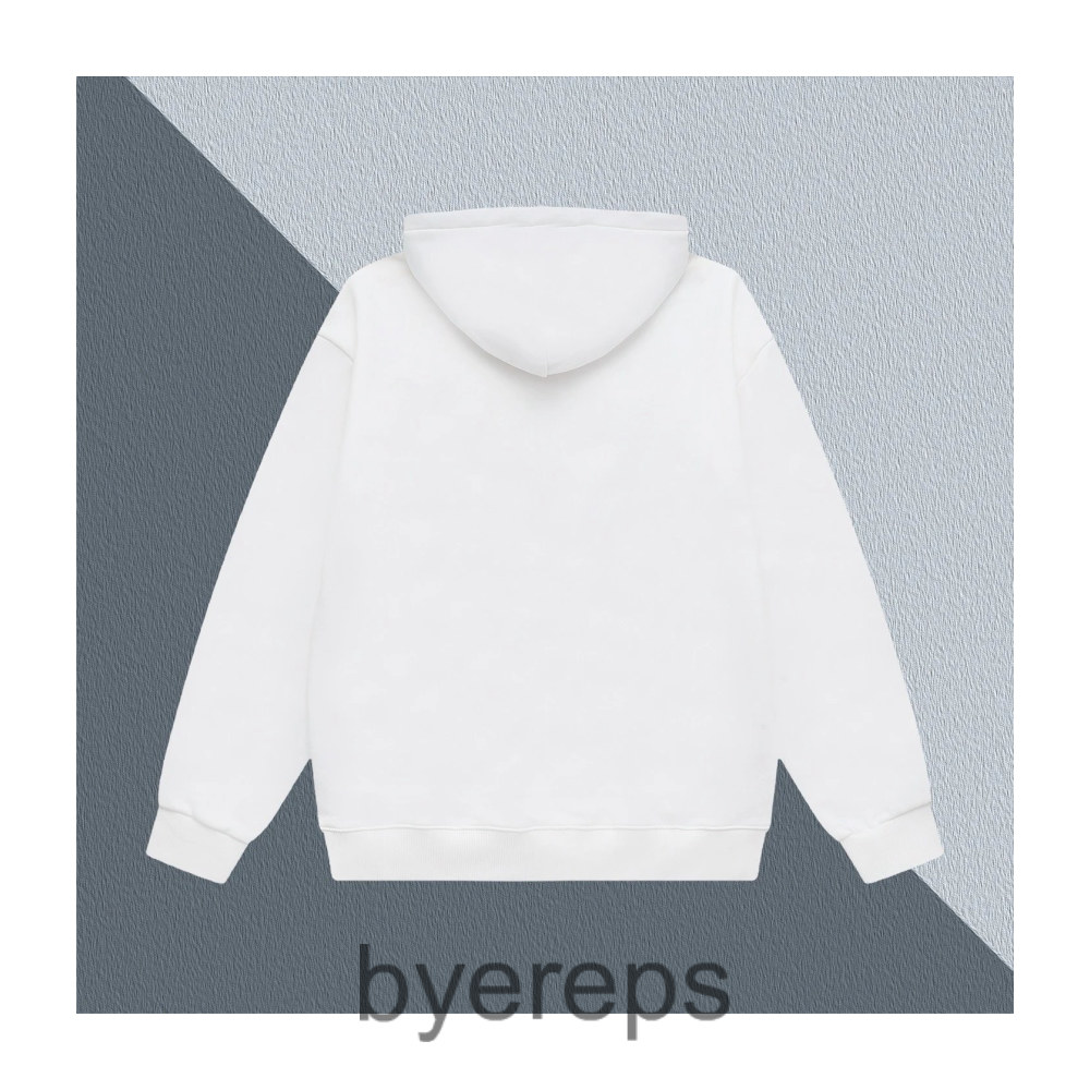 Louis Vuitton Hoodies(2 Colourways) — photo 2 of 4