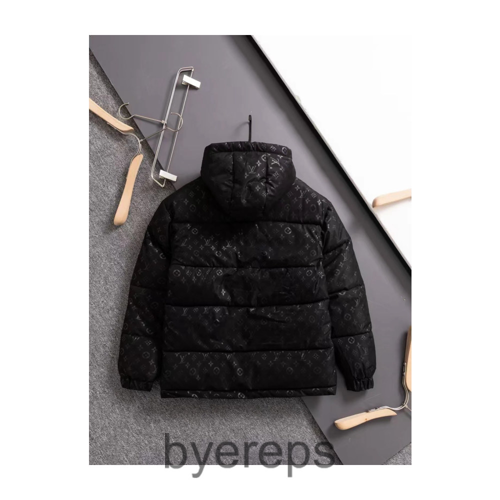 Louis Vuitton Puffer Jacket — photo 4 of 4