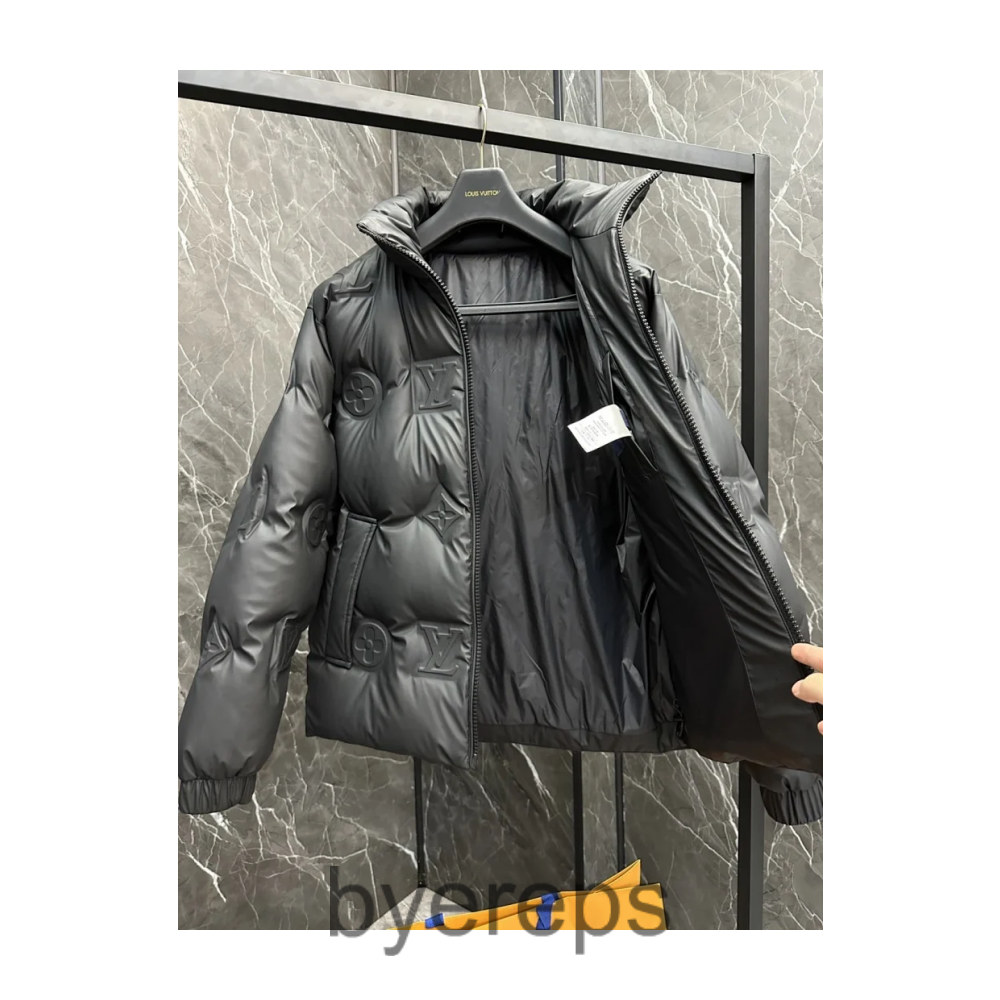 Louis Vuitton Puffer Jacket — photo 4 of 4