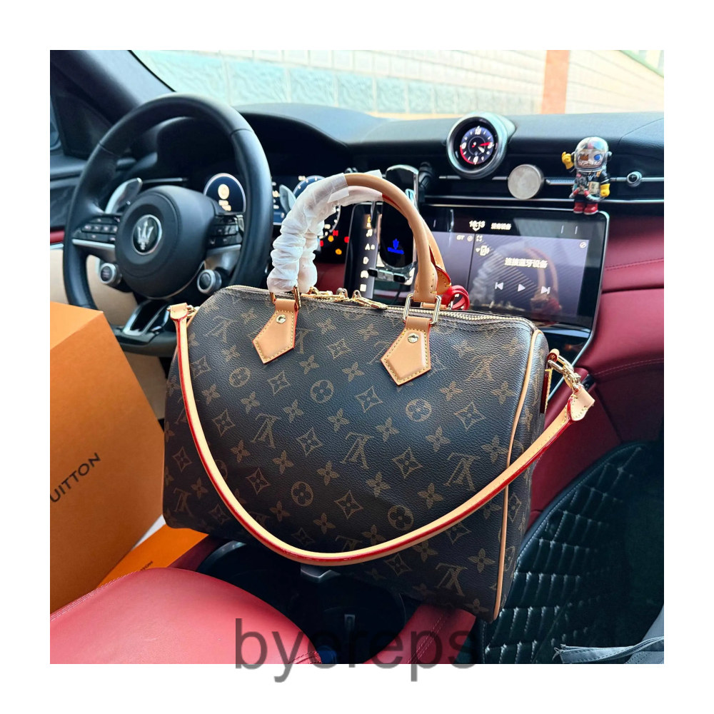 LV Speedy/Traveling Bag