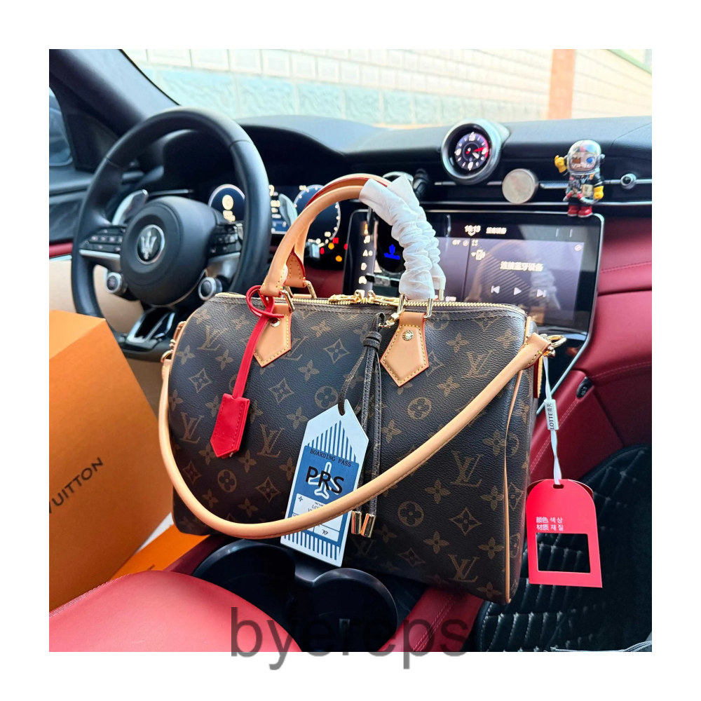 Louis Vuitton LV Speedy/Traveling Bag — photo 4 of 4