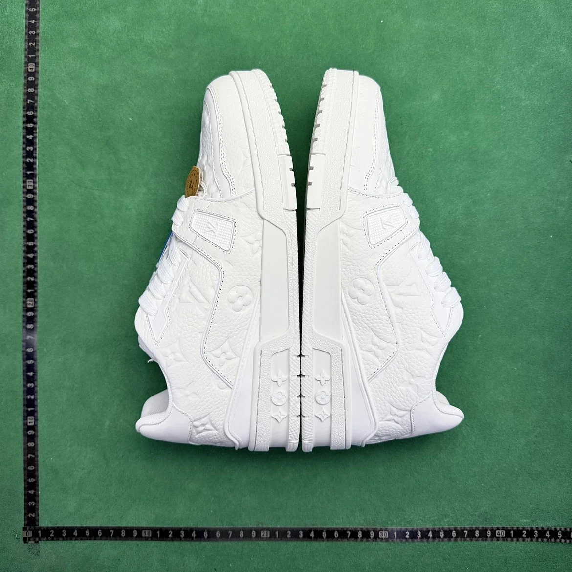 LV Trainer