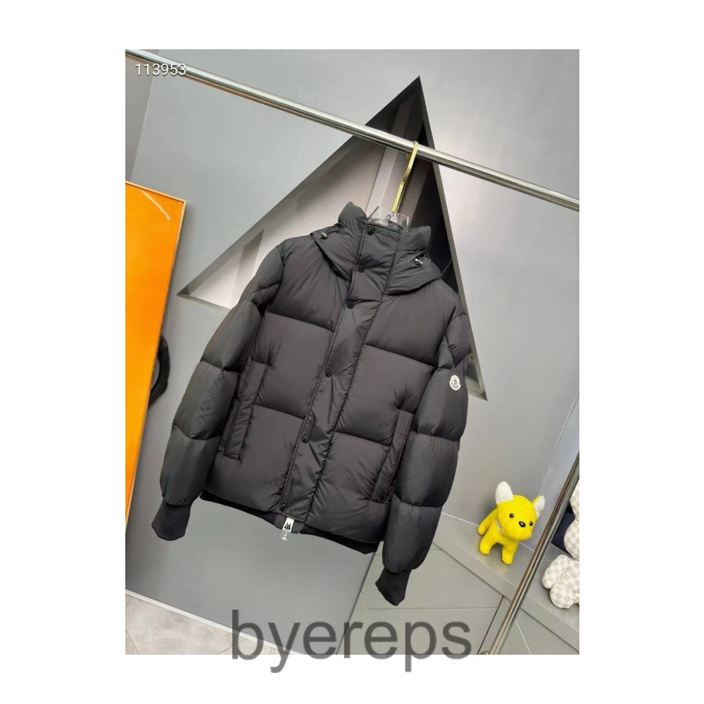 Moncler Down Jacket — photo 2 of 3