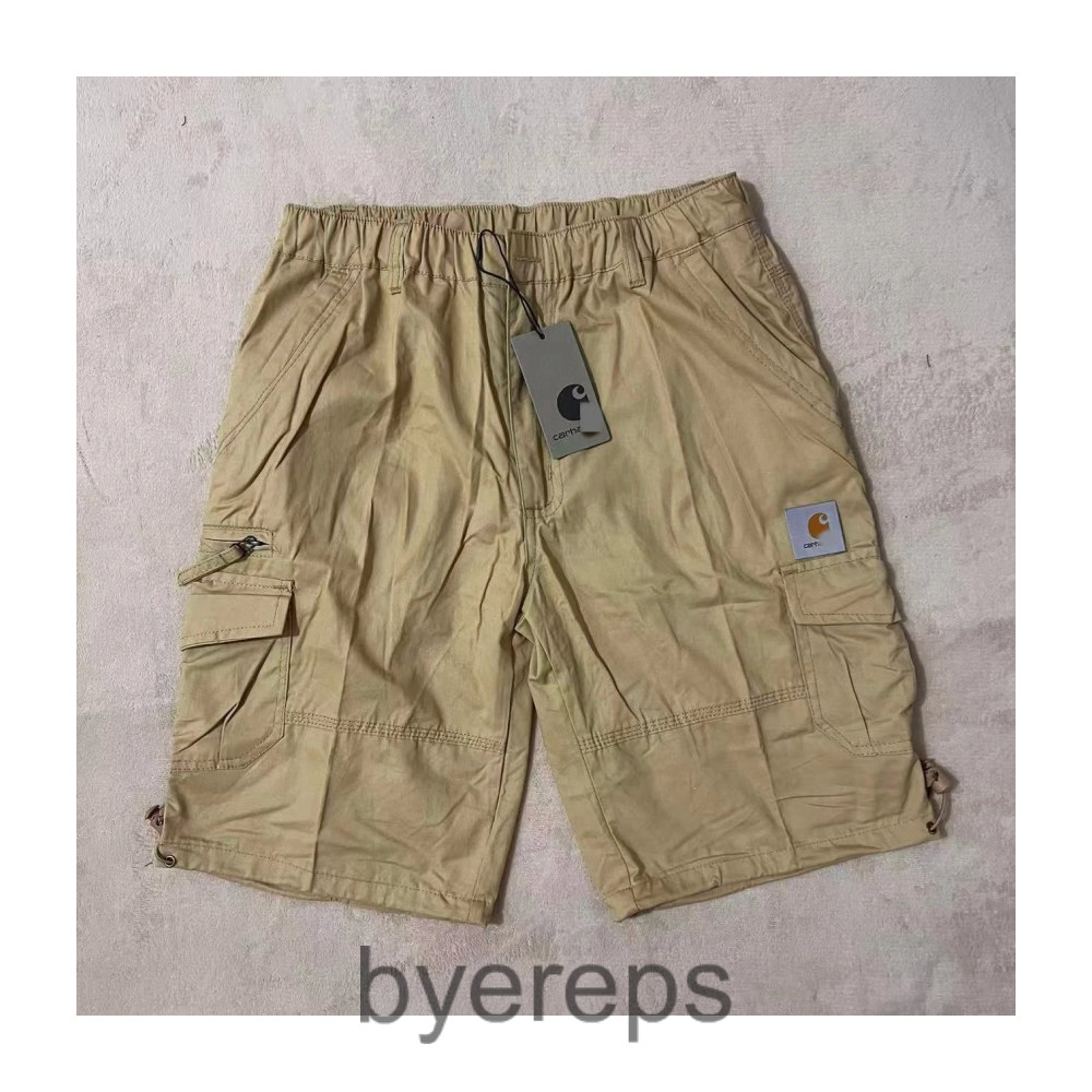 More Carhartt T-Shirts (40+ variants)