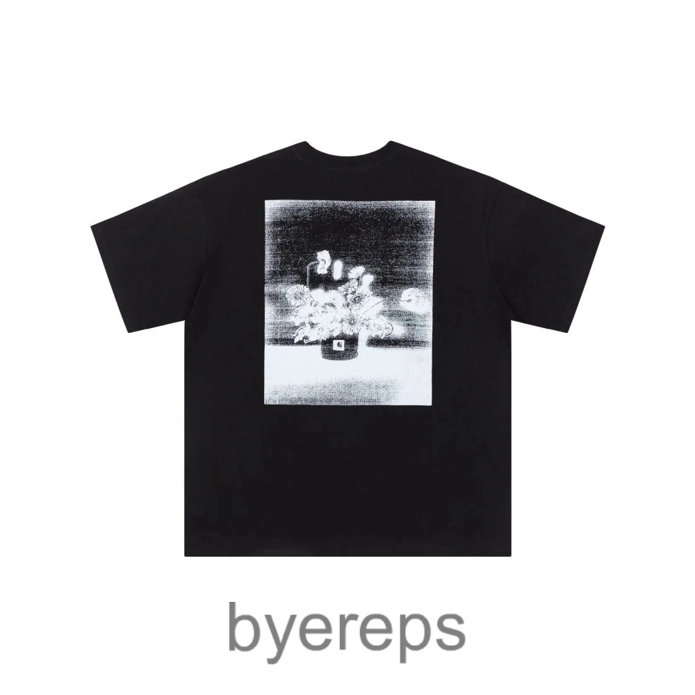 More Carhartt T-Shirts (40+ variants)