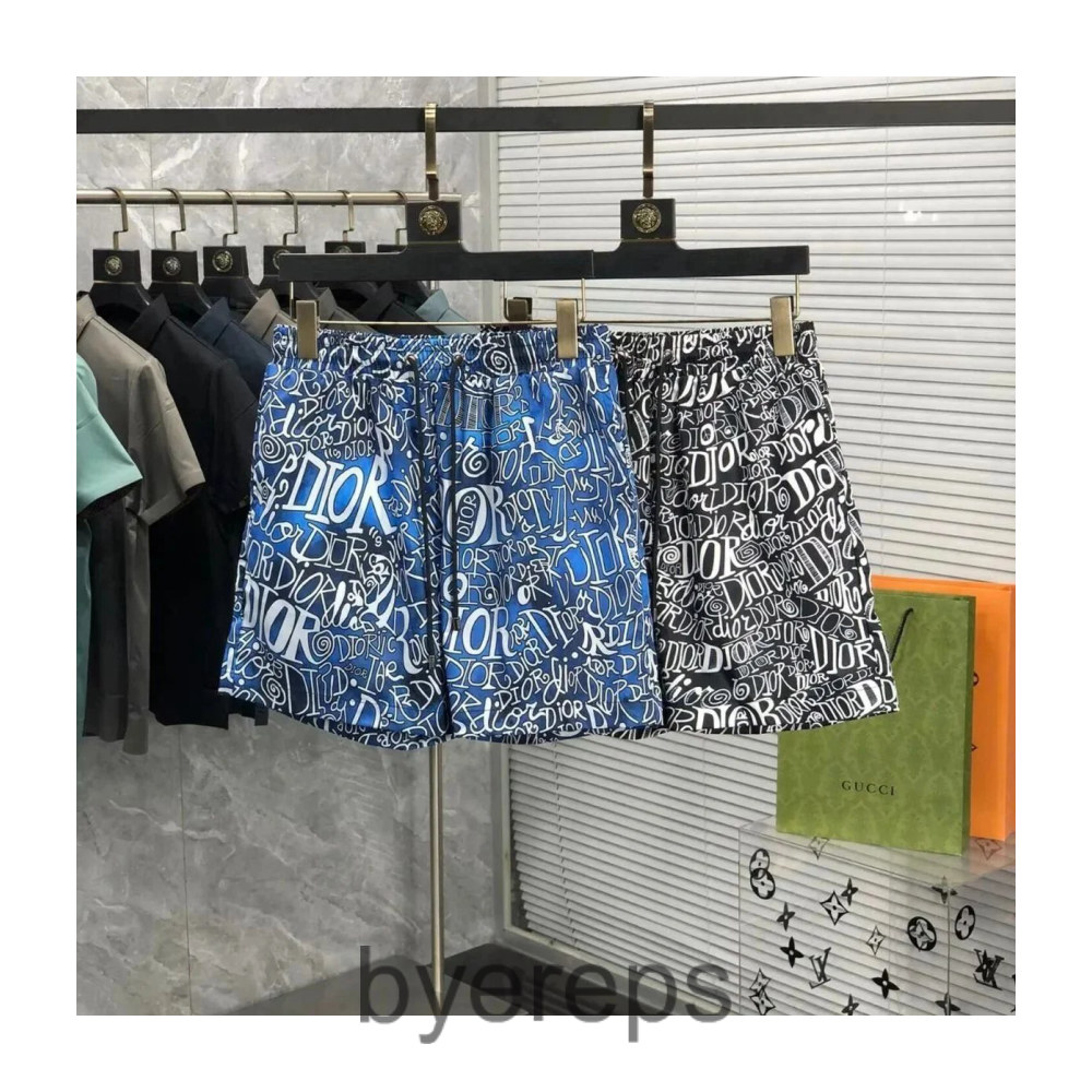 More Dior Swim Mesh Shorts