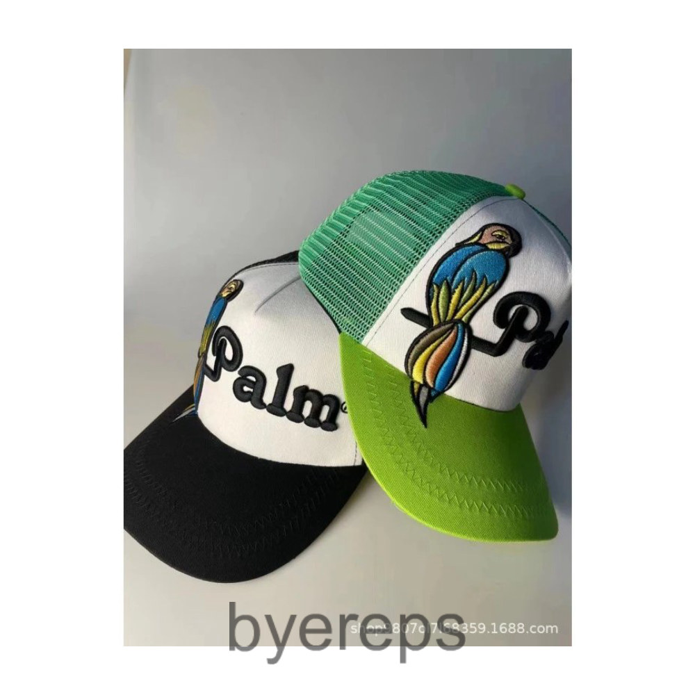 Palm Angels Distressed Caps