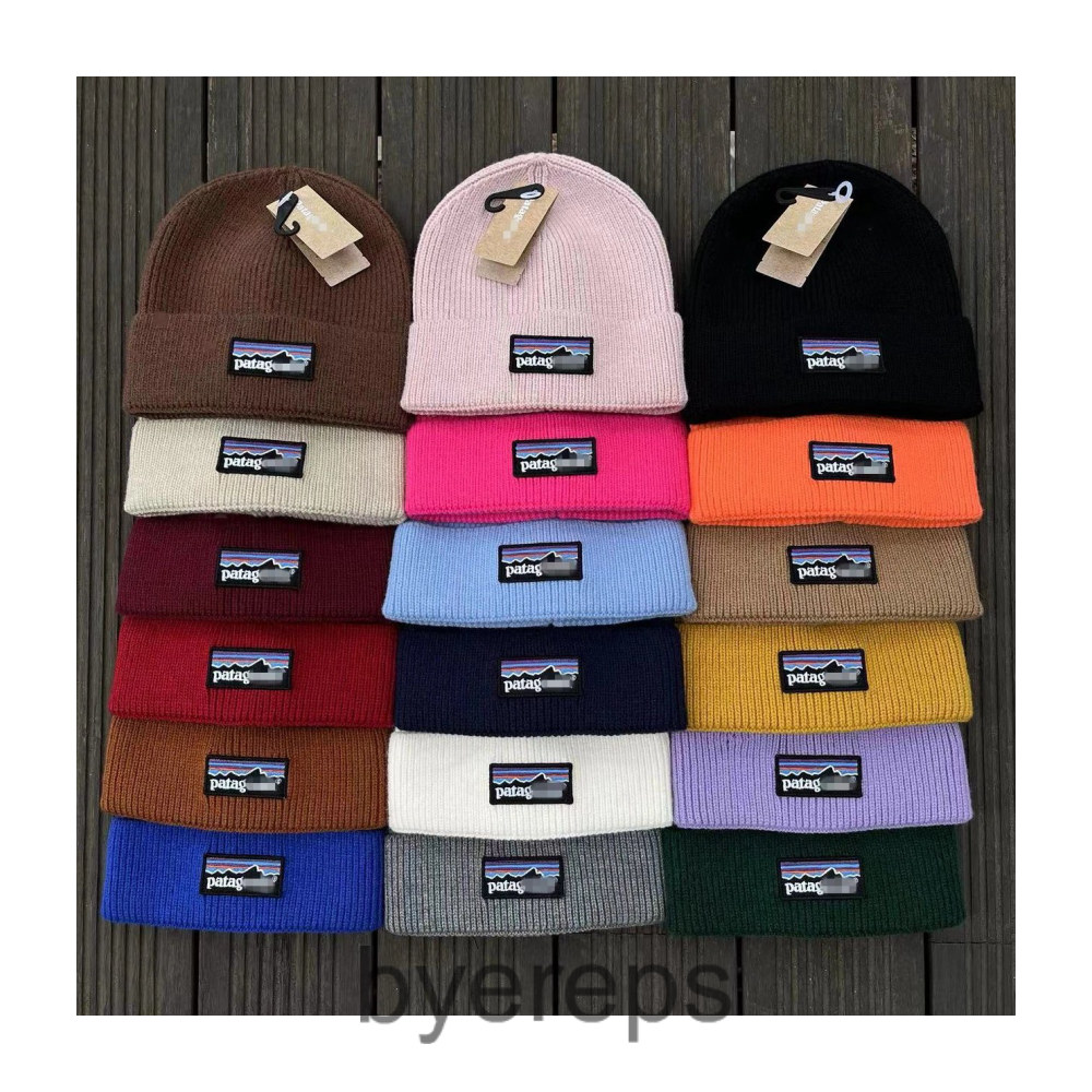 Patagonia Beanie