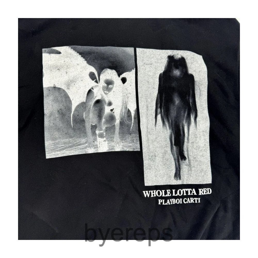 Unbranded Playboicarti WLR Merch Zip Up Hoodie — photo 3 of 4