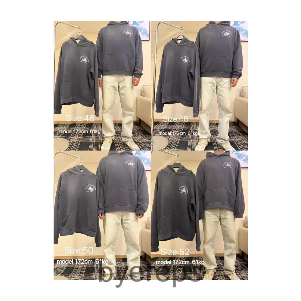 Raf Simons Virginia Creeper Hoodie Gray — photo 4 of 4