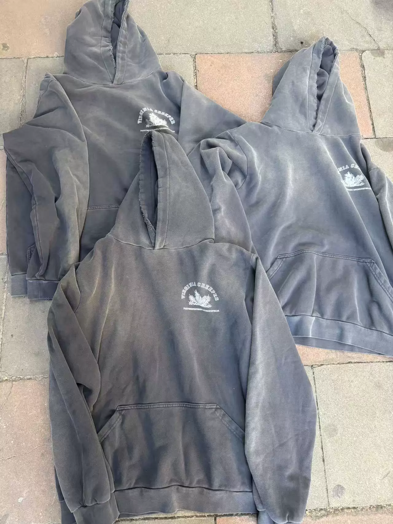 Raf Simons Virginia Creeper Hoodie Grey