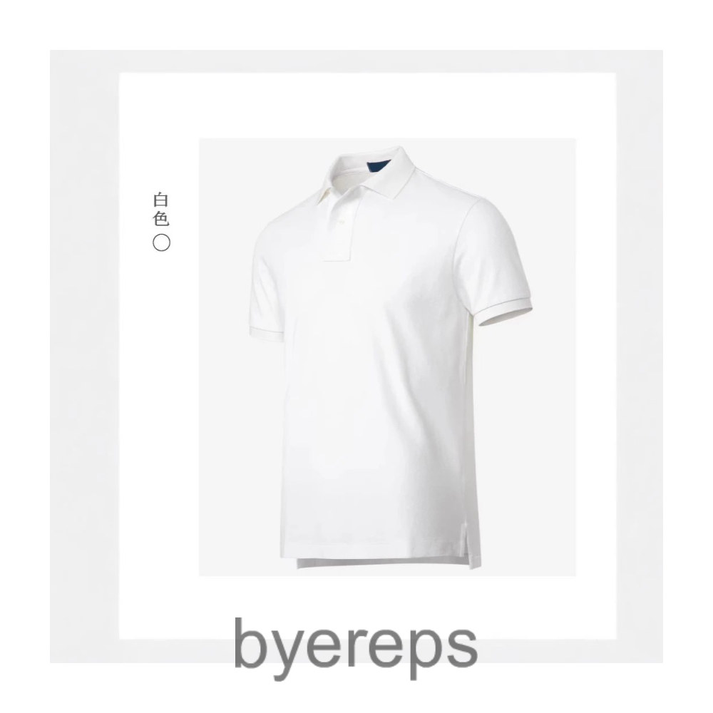 Ralph lauren polo tee ( has tons of em )