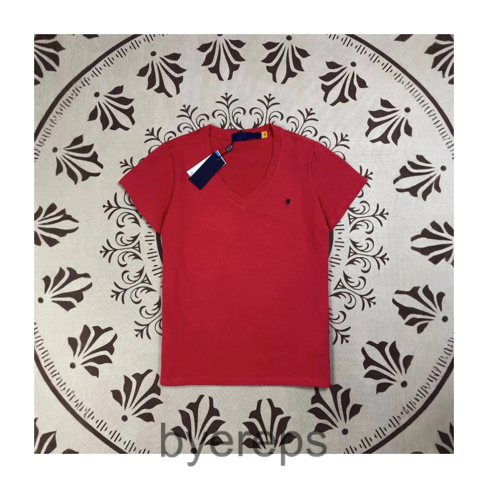 Ralph lauren v-neck tee ( has tons )