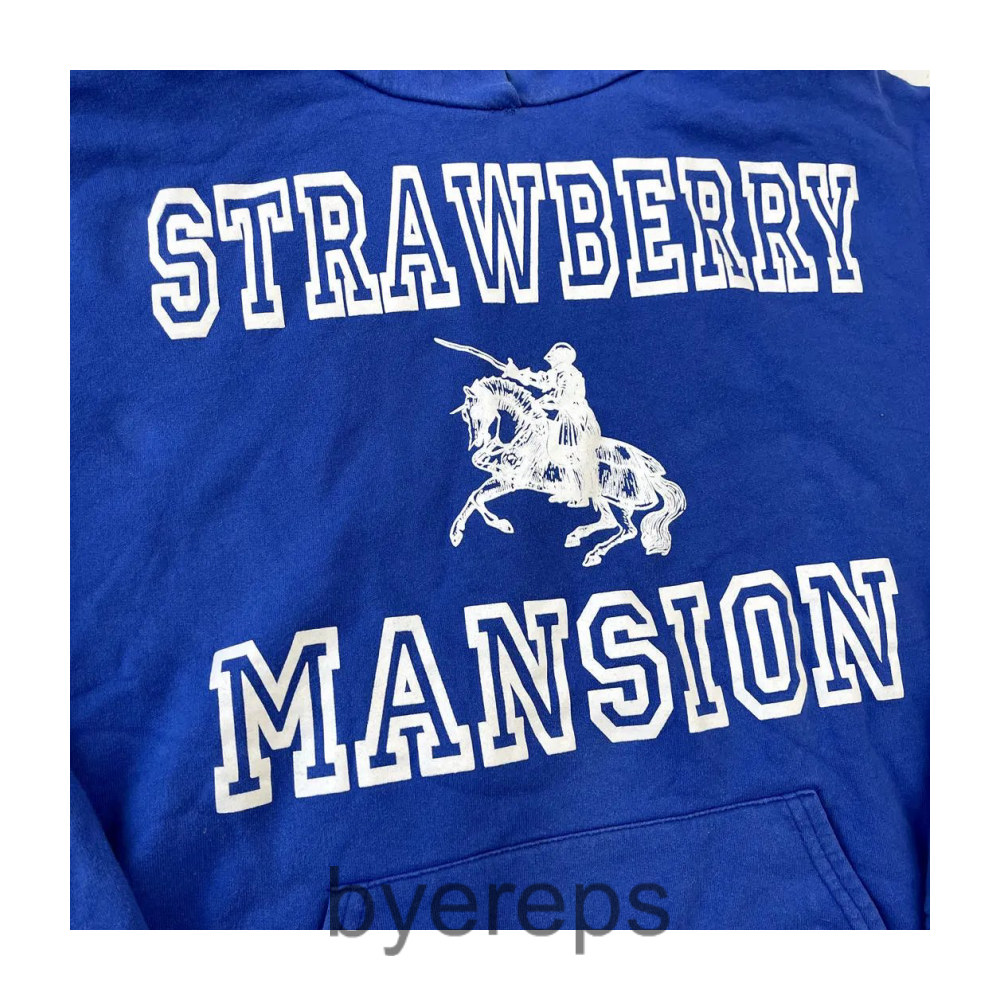 Unbranded Strawberry Mansion Hoodie — photo 3 of 4