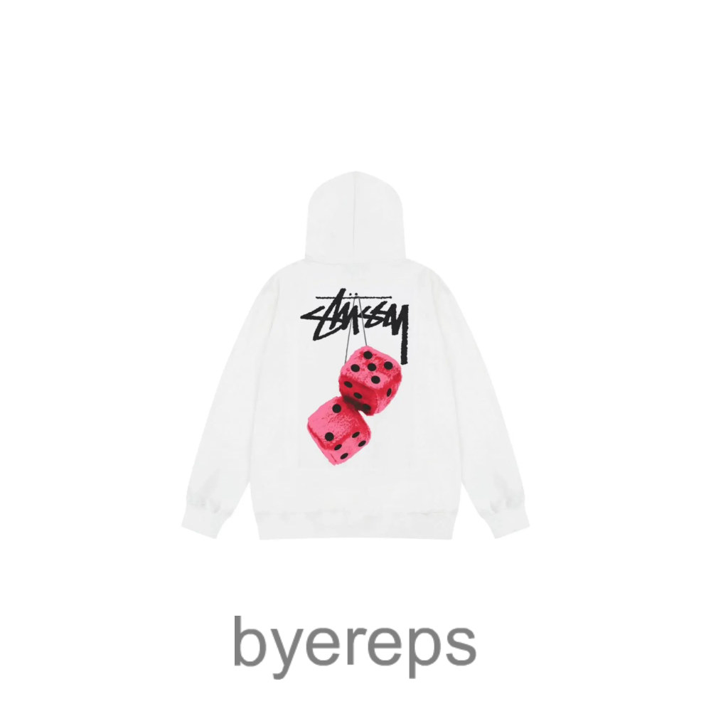 Stussy Hoodie(25+ Colourways)