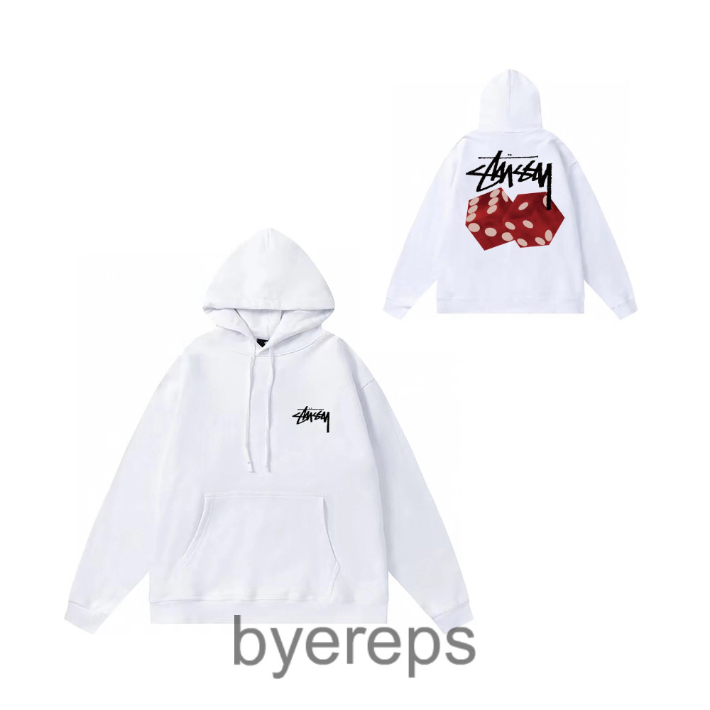 Stussy hoodie ( 39 colors )