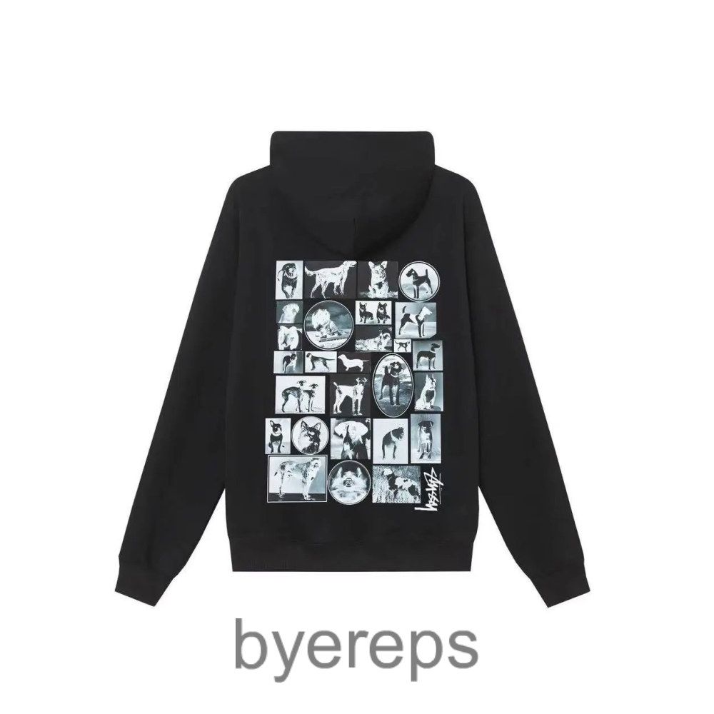 Stussy Hoodie — photo 4 of 4