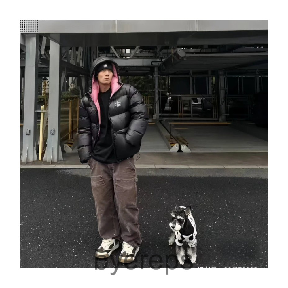 Stussy puffer — photo 2 of 4