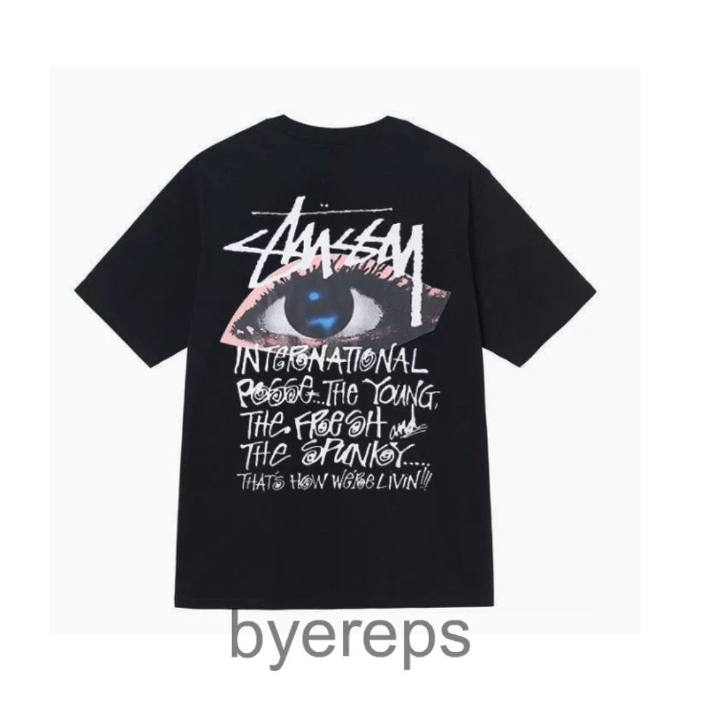 Stussy tee(100 colorways)