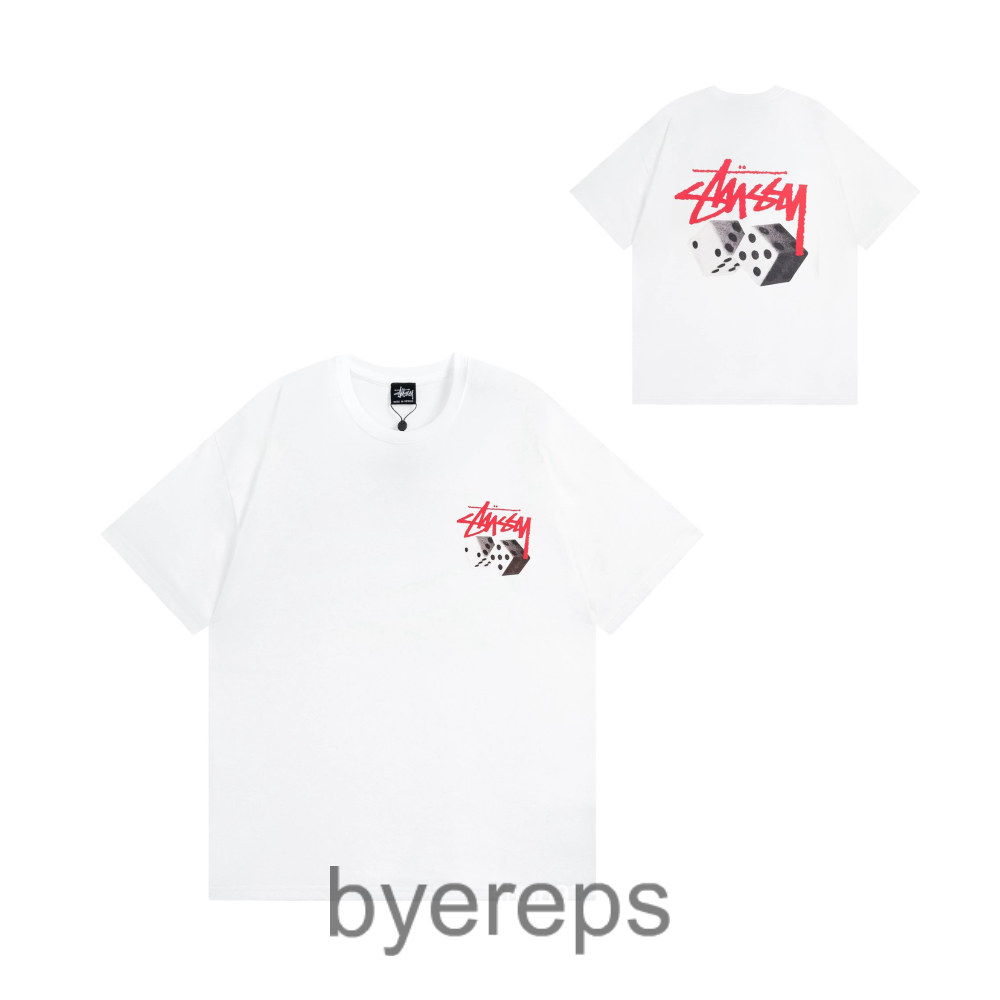 Stussy tee(70 colorways)