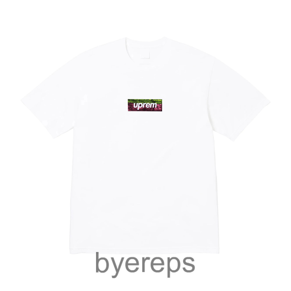 Supreme LA Box Logo