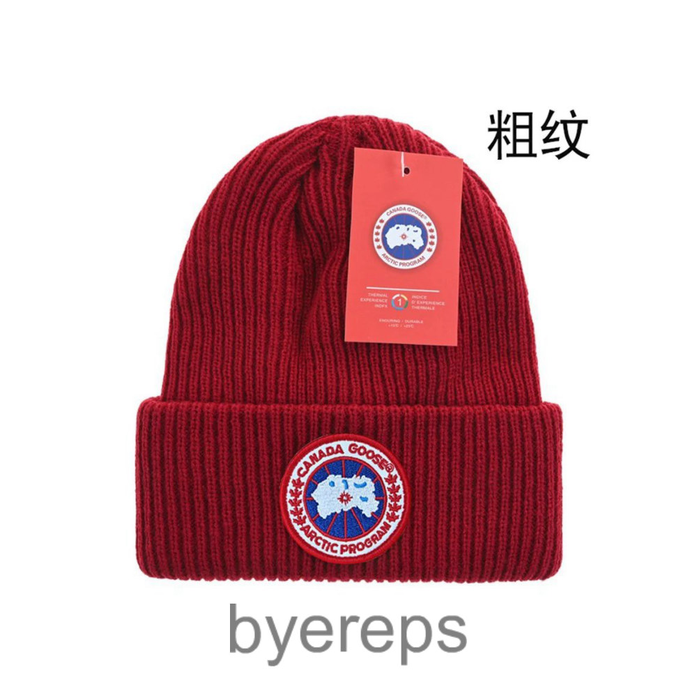 The North Face Beanie — photo 2 of 4