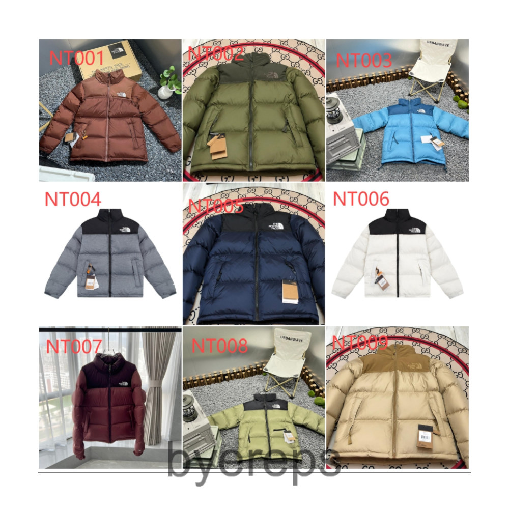 The North Face Down Jacket