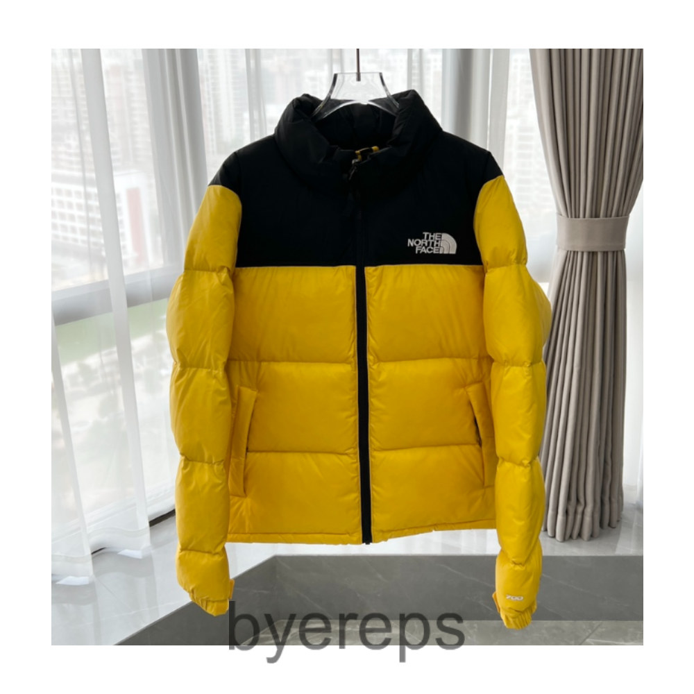 The North Face Down Jacket — photo 3 of 4