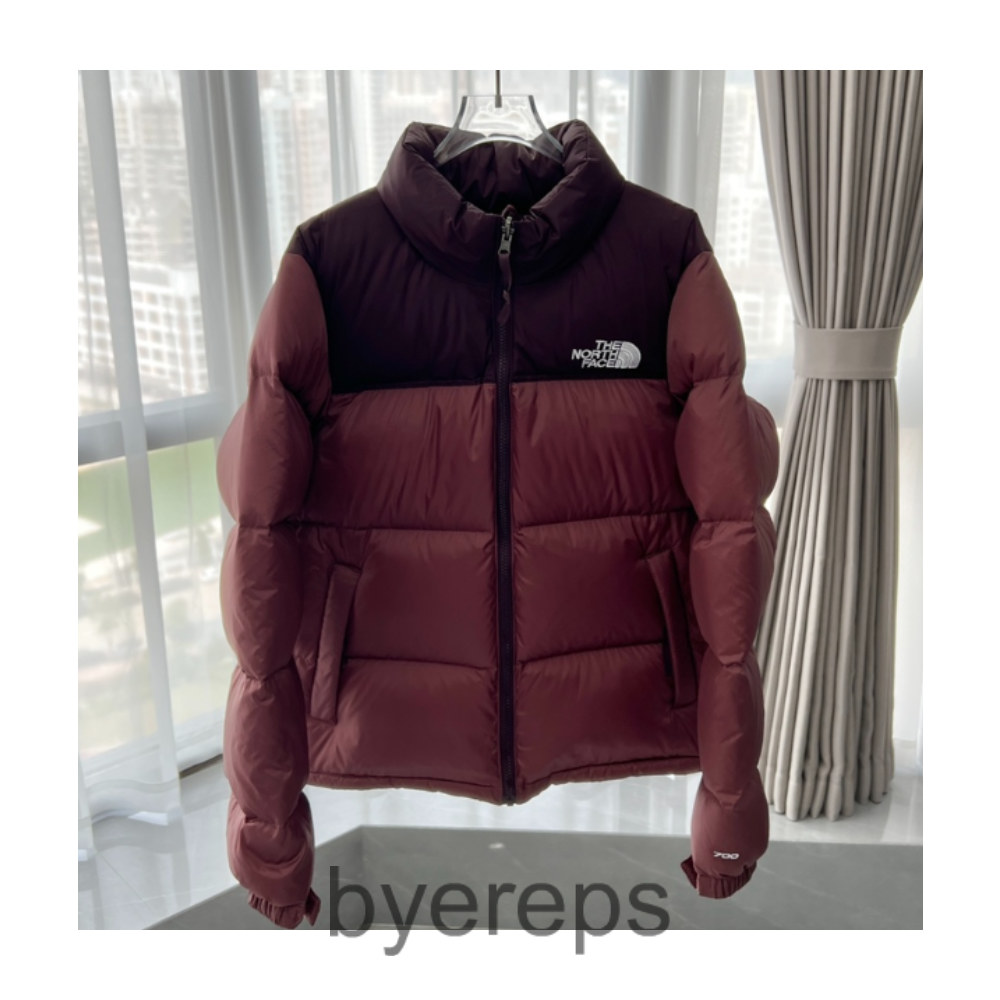 The North Face Down Jacket — photo 4 of 4