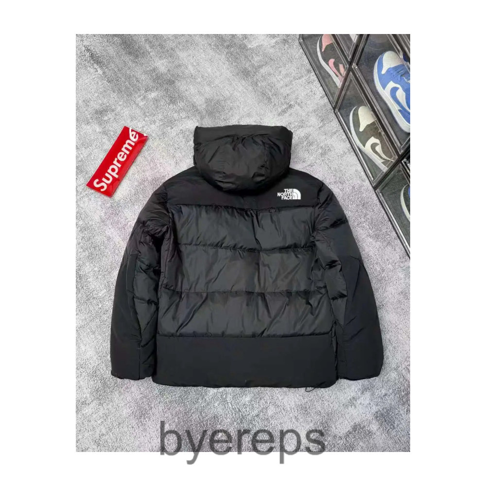 The North Face Down Jacket — photo 3 of 4