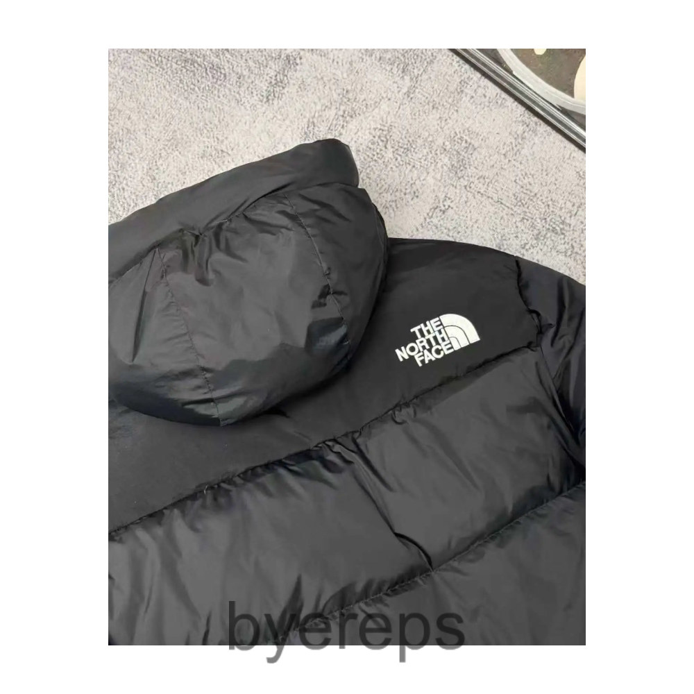 The North Face Down Jacket — photo 4 of 4