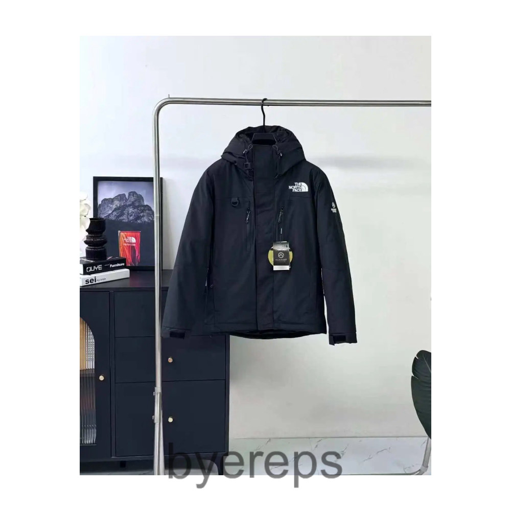 The North Face Down Jacket — photo 4 of 4