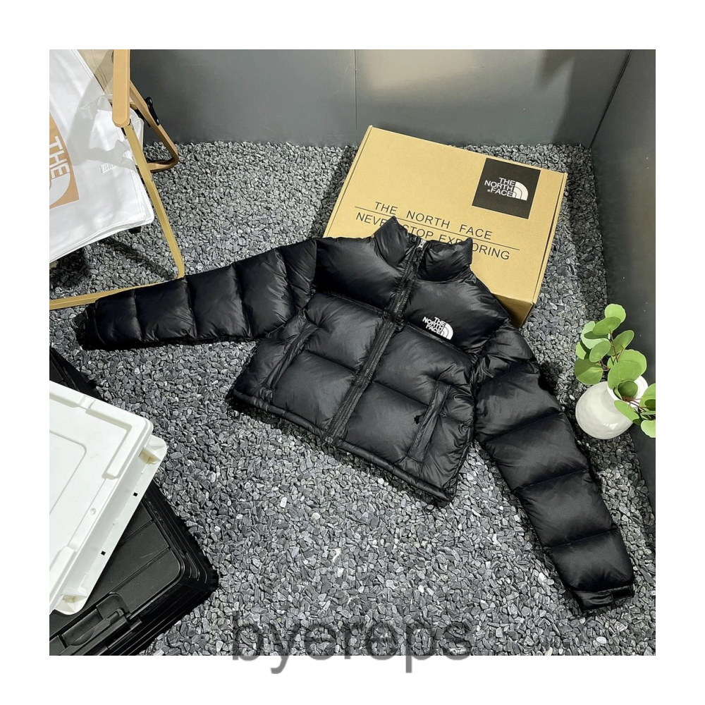 The North Face Down Jacket