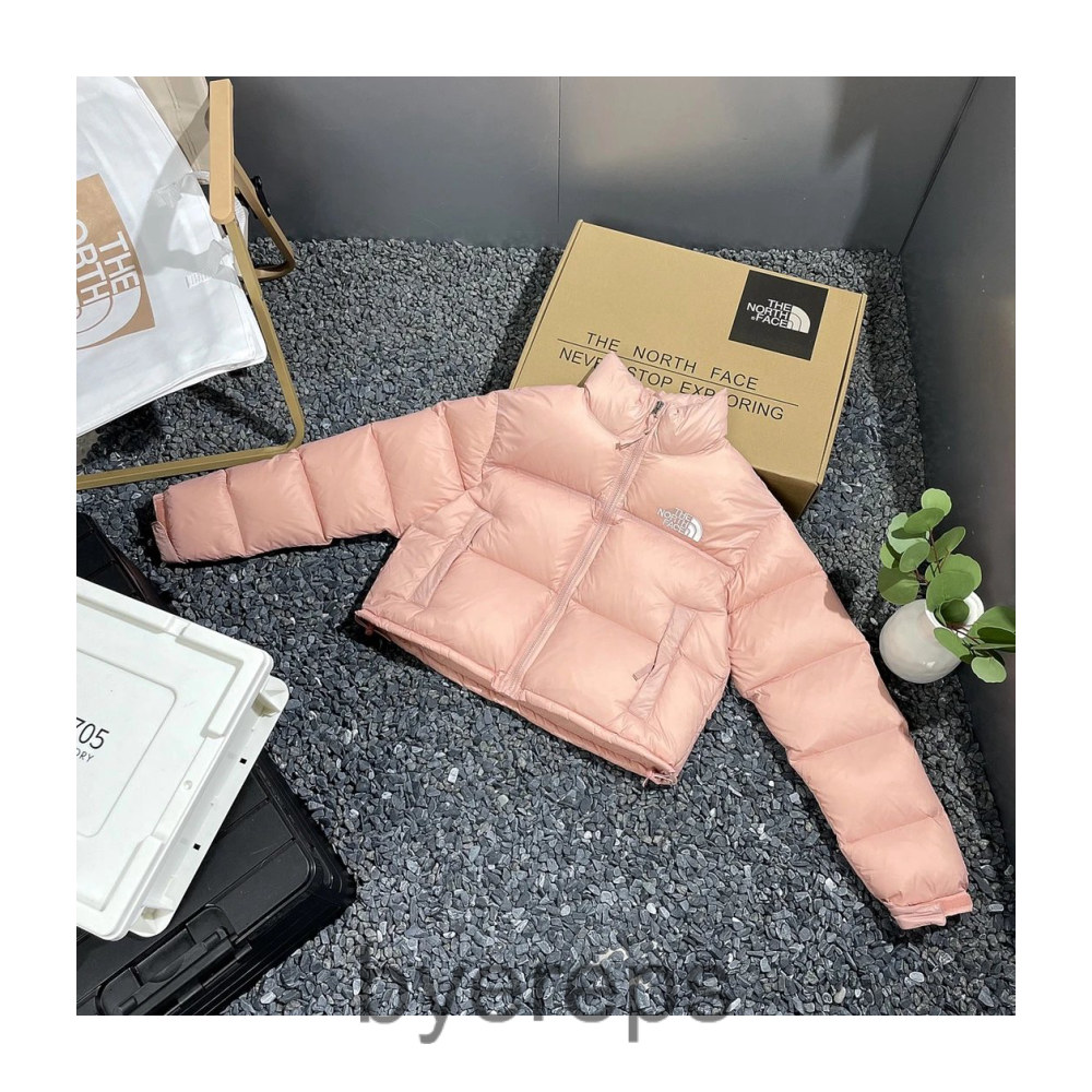 The North Face Down Jacket — photo 4 of 4