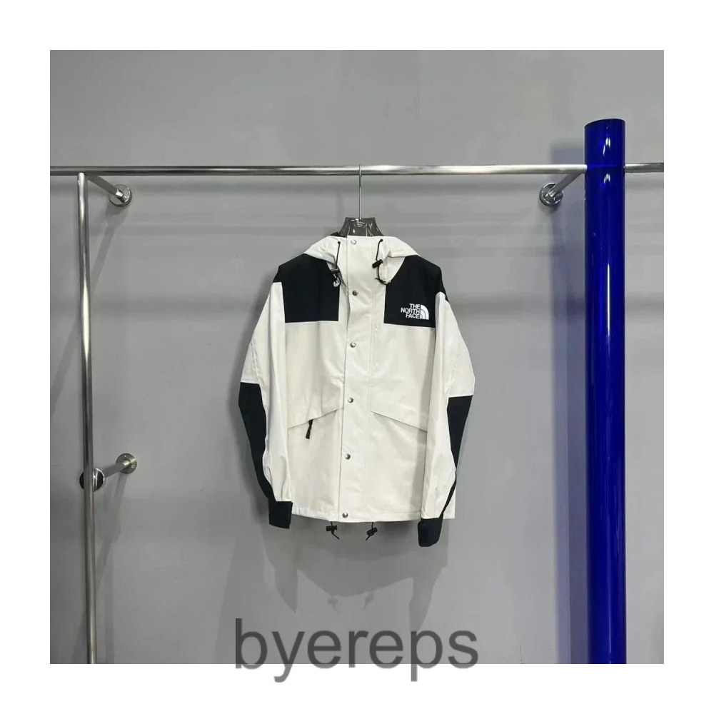 The north face jacket