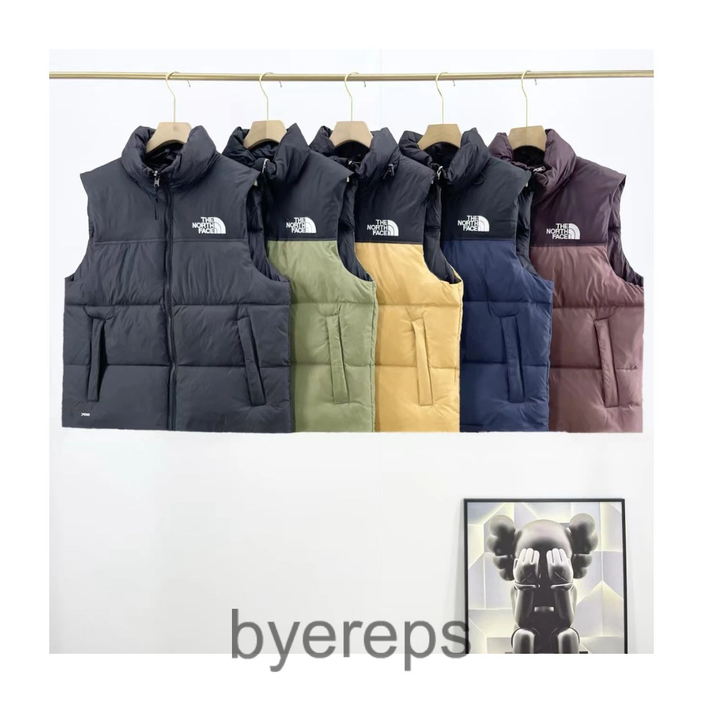 The North Face Vest