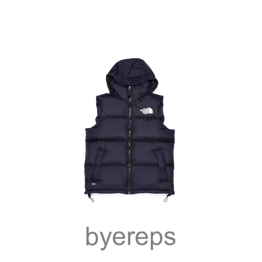 The north face vest