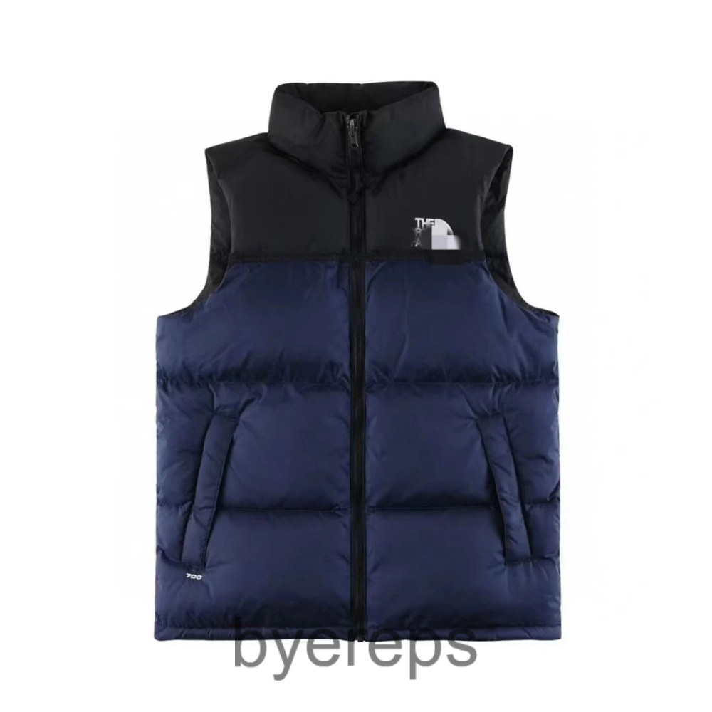 TNF 1996 puffer vest ( has alot of em )