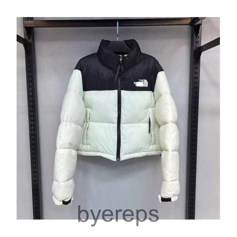 TNF nuptse ( has black also )