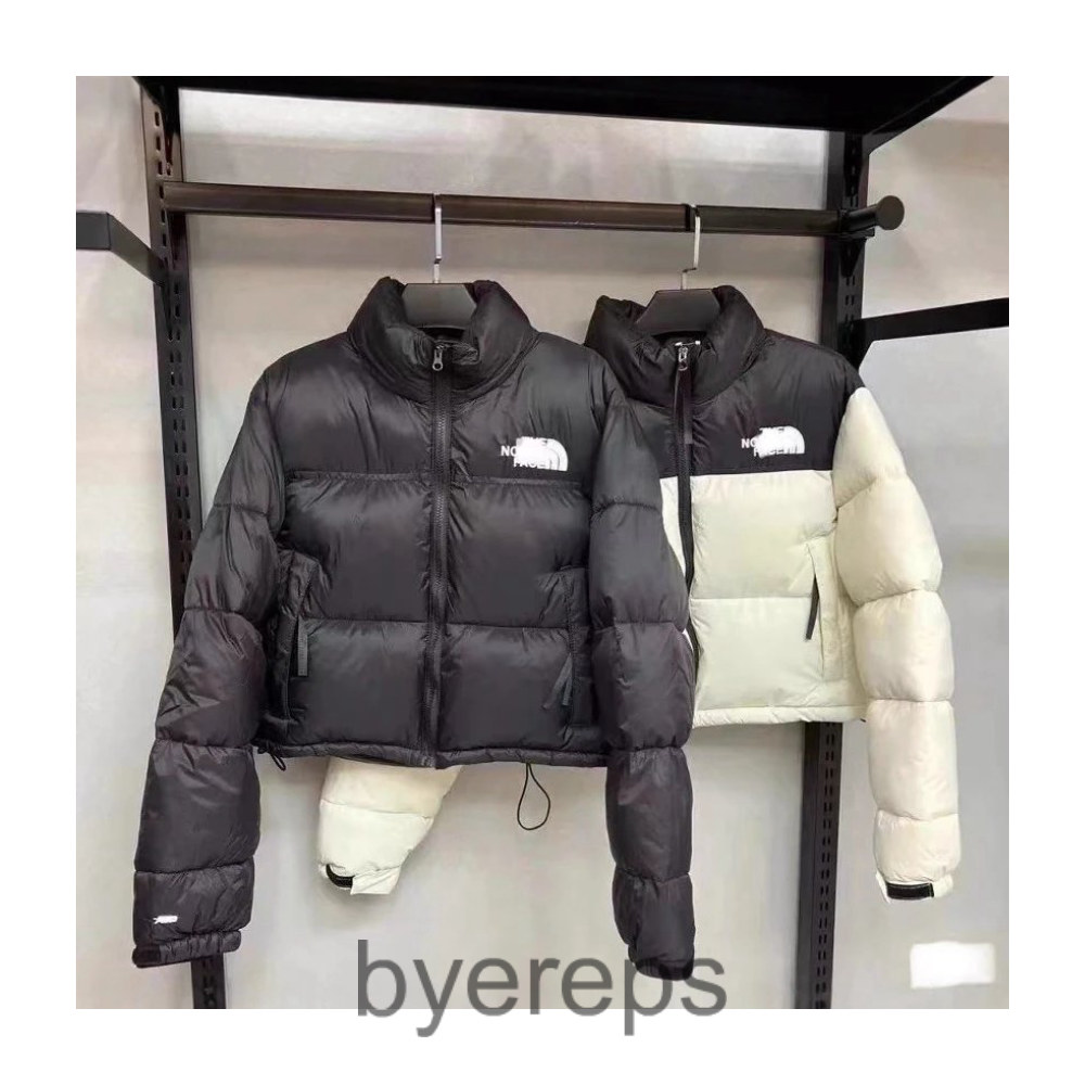 The North Face TNF nuptse ( has black also ) — photo 4 of 4