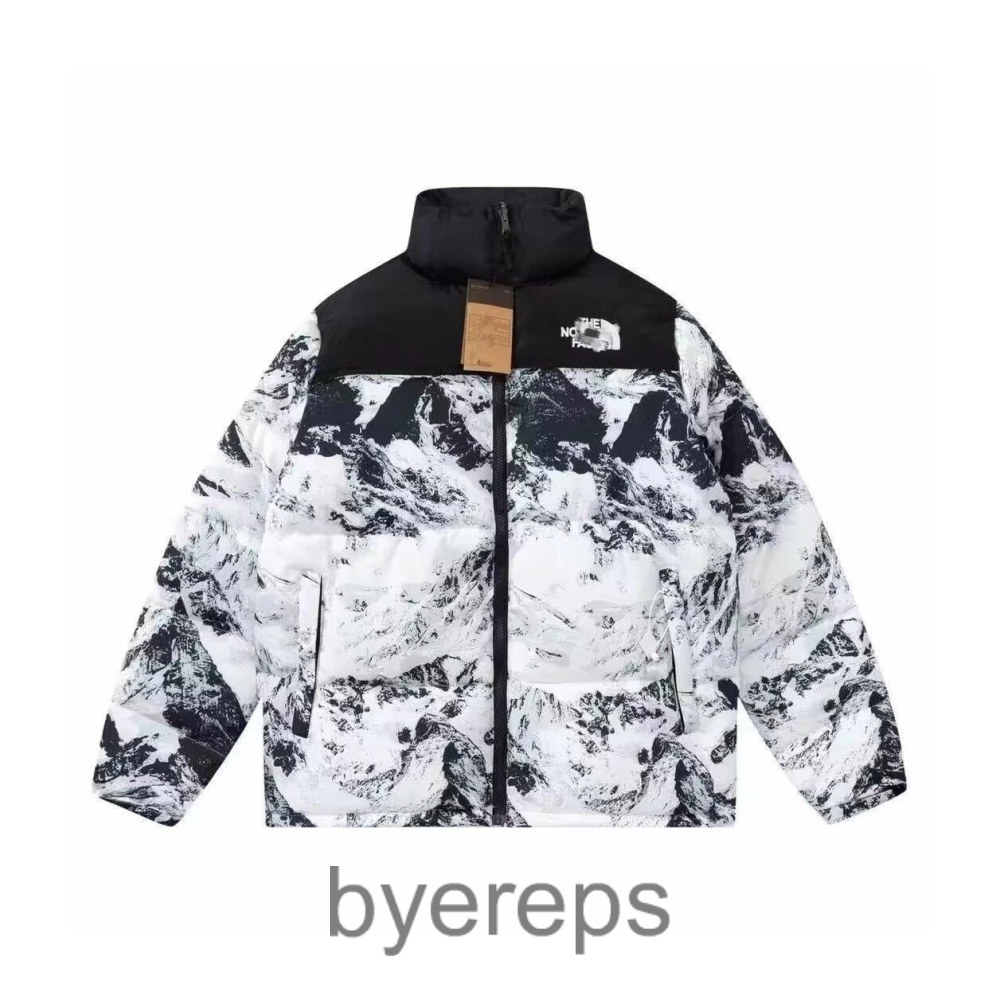 The North Face TNF nuptse ( has more ) — photo 4 of 4