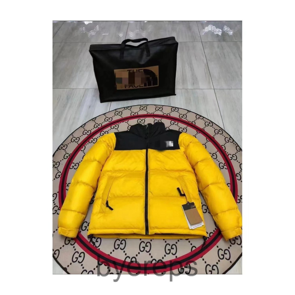 TNF nuptse puffer ( has tons of em )