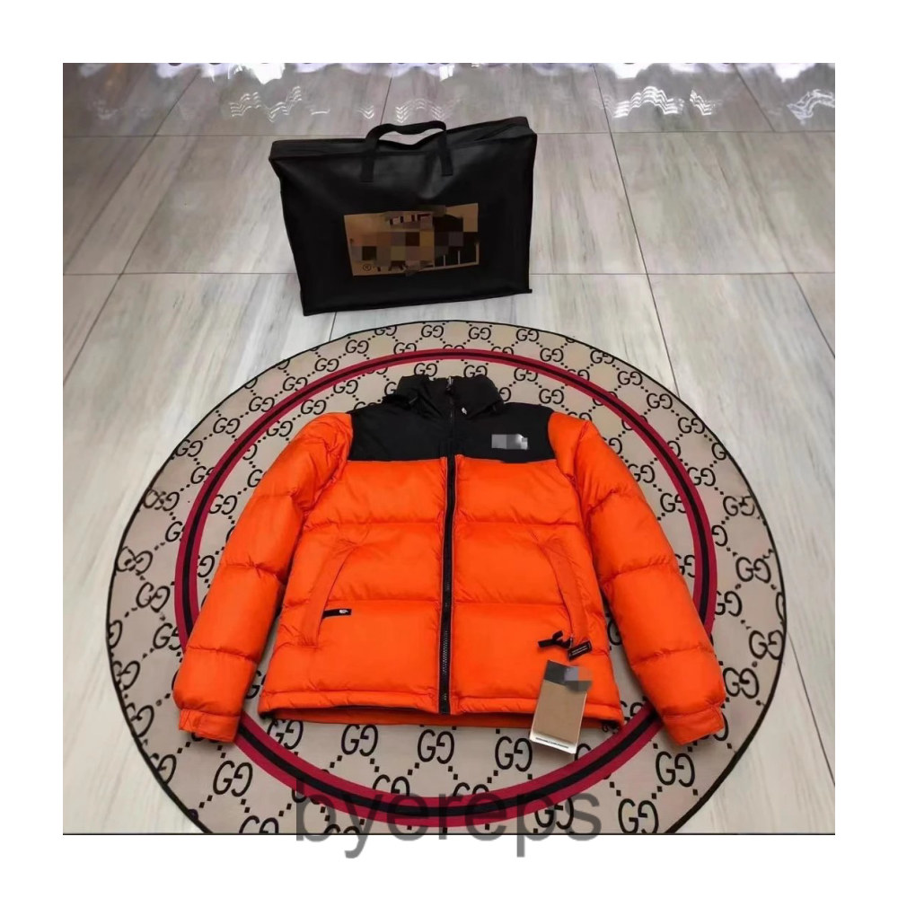 The North Face TNF nuptse puffer ( has tons of em ) — photo 3 of 4