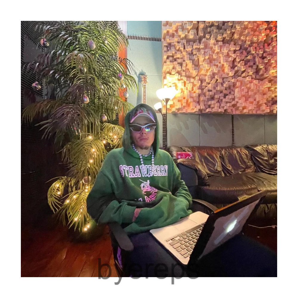 Unbranded Unwanted Strawberry Mansion Hoodie — photo 2 of 4