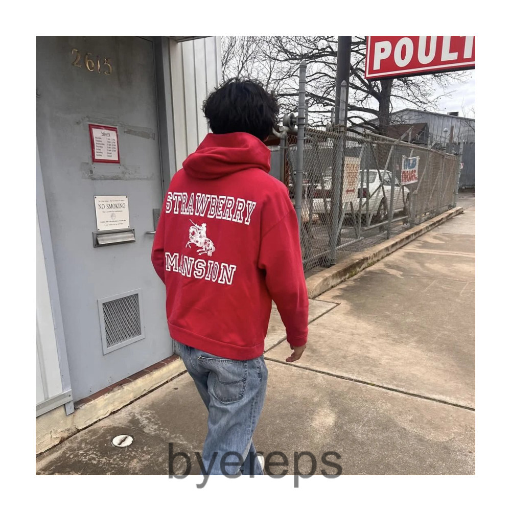 Unbranded Unwanted Strawberry Mansion Hoodie — photo 3 of 4