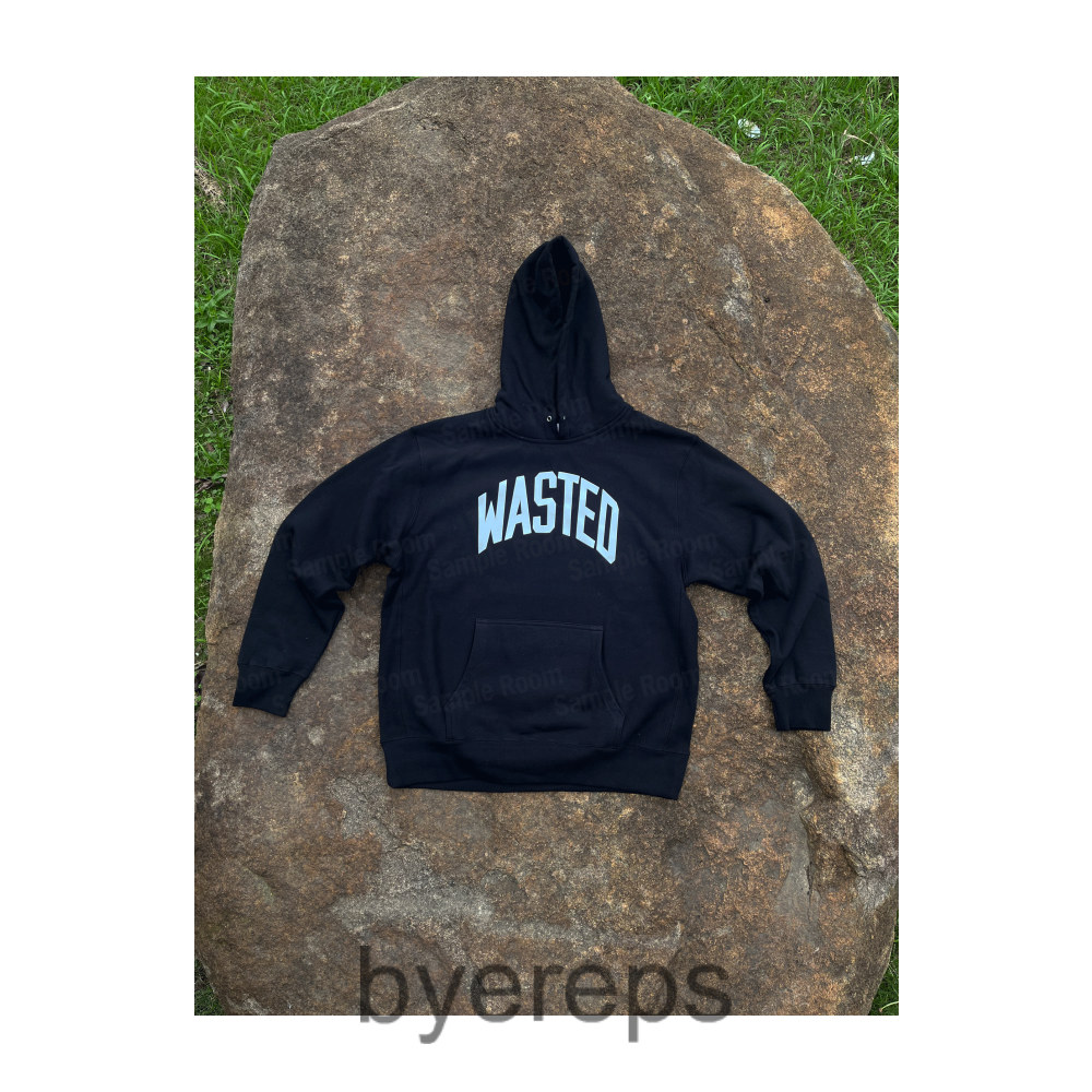 Unbranded Wasted Youth Hoodie — photo 4 of 4